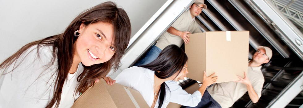 Professional Removalists Glenelg South